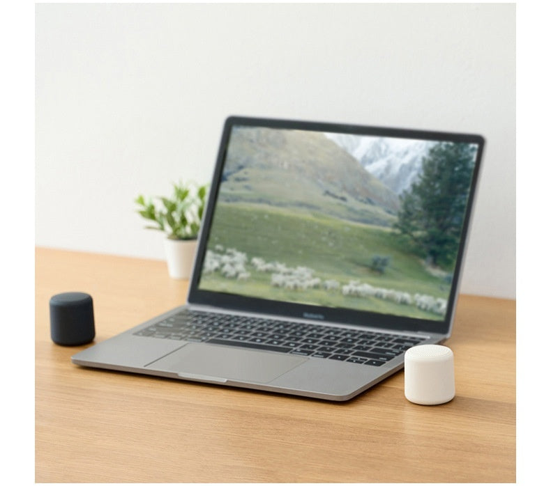 Portable Wireless Speaker Mini Speaker